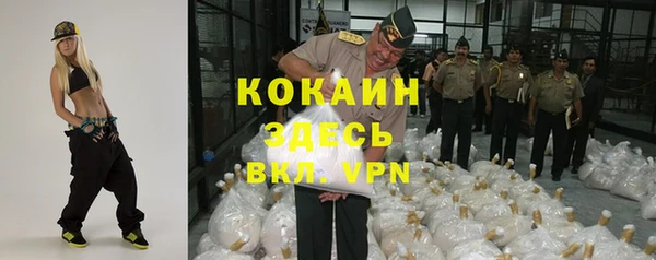 крисы Зеленокумск