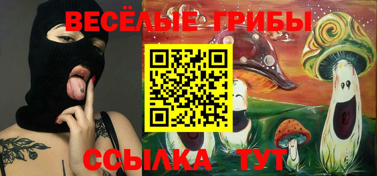 Галлюциногенные грибы прущие грибы Слободской