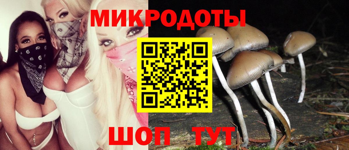 Псилоцибиновые грибы Psilocybine cubensis  Вход с VPN  Слободской 